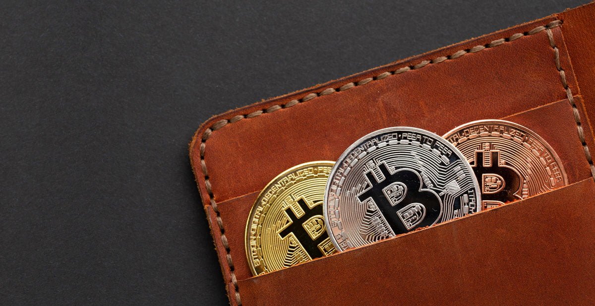 welche arten von bitcoin wallets gibt es